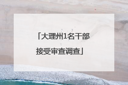 大理州1名干部接受审查调查