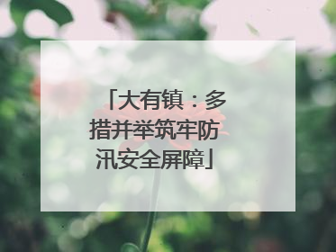 大有镇：多措并举筑牢防汛安全屏障