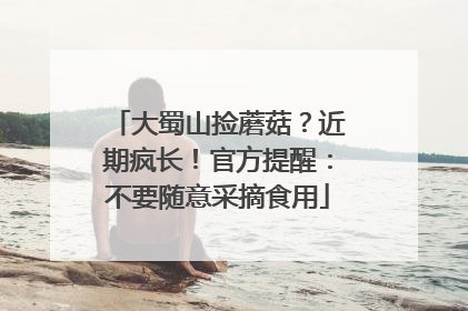 大蜀山捡蘑菇？近期疯长！官方提醒：不要随意采摘食用