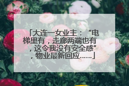 大连一女业主：“电梯里有，走廊两端也有，这令我没有安全感”，物业最新回应……
