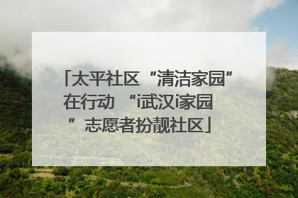 太平社区“清洁家园”在行动 “i武汉i家园”志愿者扮靓社区