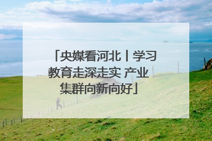 央媒看河北丨学习教育走深走实 产业集群向新向好