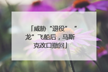威胁“退役”“龙”飞船后，马斯克改口撤回