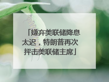 嫌弃美联储降息太迟，特朗普再次抨击美联储主席