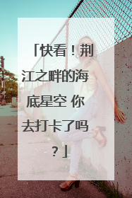 快看！荆江之畔的海底星空 你去打卡了吗？