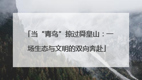 当“青鸟”掠过舜皇山：一场生态与文明的双向奔赴