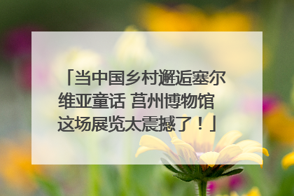 当中国乡村邂逅塞尔维亚童话 莒州博物馆这场展览太震撼了！