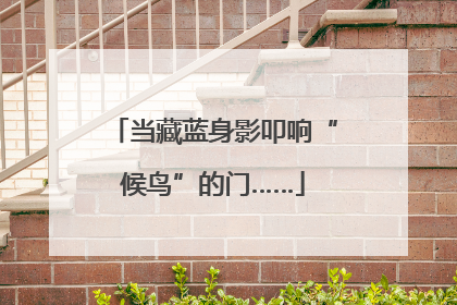 当藏蓝身影叩响“候鸟”的门……