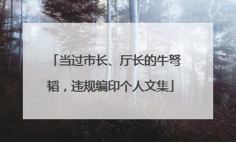 当过市长、厅长的牛弩韬，违规编印个人文集