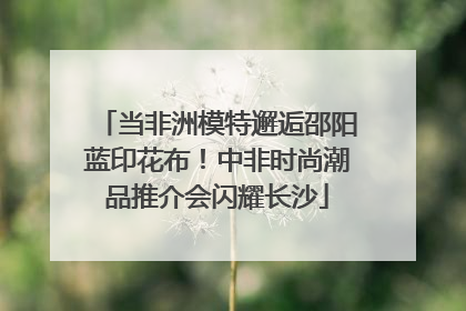当非洲模特邂逅邵阳蓝印花布！中非时尚潮品推介会闪耀长沙
