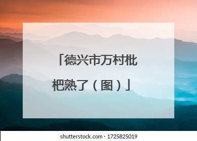 德兴市万村枇杷熟了（图）