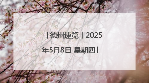 德州速览丨2025年5月8日 星期四