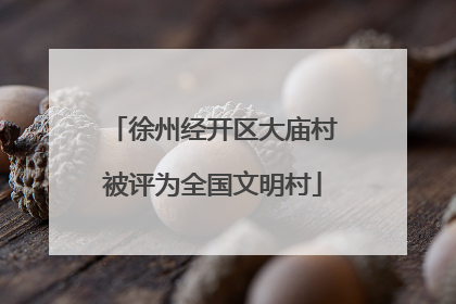 徐州经开区大庙村被评为全国文明村