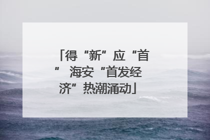 得“新”应“首” 海安“首发经济”热潮涌动