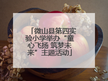 微山县第四实验小学举办“童心飞扬 筑梦未来”主题活动