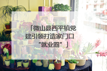 微山县西平镇党建引领打造家门口“就业圈”