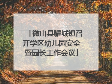 微山县驩城镇召开学区幼儿园安全暨园长工作会议