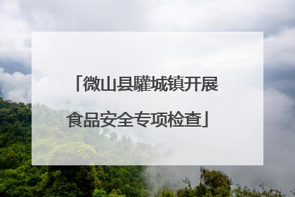 微山县驩城镇开展食品安全专项检查