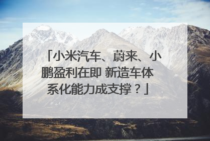 小米汽车、蔚来、小鹏盈利在即 新造车体系化能力成支撑？