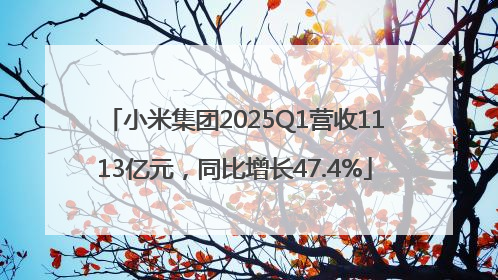小米集团2025Q1营收1113亿元，同比增长47.4%