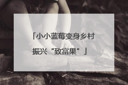 小小蓝莓变身乡村振兴“致富果”