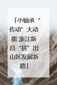 小轴承“传动”大动能 浙江新昌“拼”出山区发展新路