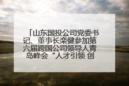 山东国投公司党委书记、董事长栾健参加第六届跨国公司领导人青岛峰会“人才引领 创新驱动”人力资源高质量发展对话会