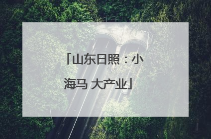 山东日照：小海马 大产业