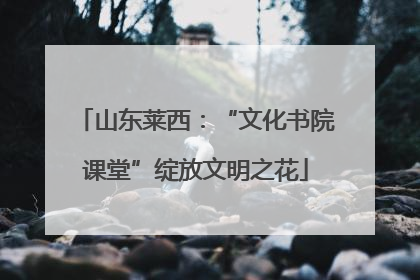 山东莱西：“文化书院课堂”绽放文明之花