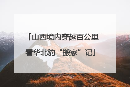 山西境内穿越百公里 看华北豹“搬家”记
