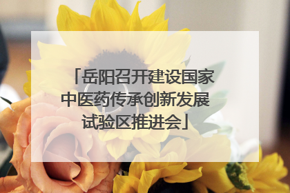 岳阳召开建设国家中医药传承创新发展试验区推进会