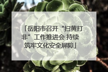 岳阳市召开“扫黄打非”工作推进会 持续筑牢文化安全屏障