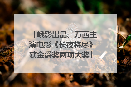 峨影出品、万茜主演电影《长夜将尽》获金爵奖两项大奖