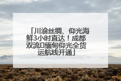 川渝丝绸、仰光海鲜3小时直达！成都双流⇌缅甸仰光全货运航线开通