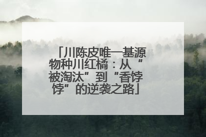 川陈皮唯一基源物种川红橘：从“被淘汰”到“香饽饽”的逆袭之路