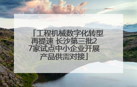 工程机械数字化转型再提速 长沙第三批27家试点中小企业开展产品供需对接