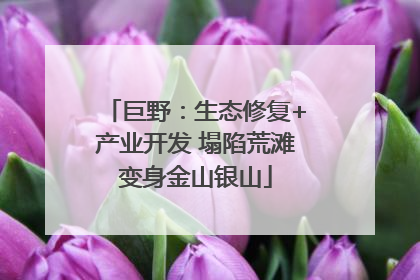巨野：生态修复+产业开发 塌陷荒滩变身金山银山