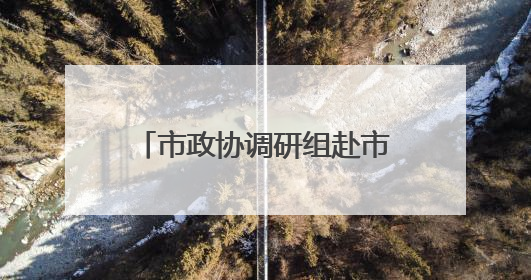 市政协调研组赴市大数据中心调研