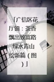 广信区花厅镇：茶香飘出致富路 绿水青山绘新篇（图）