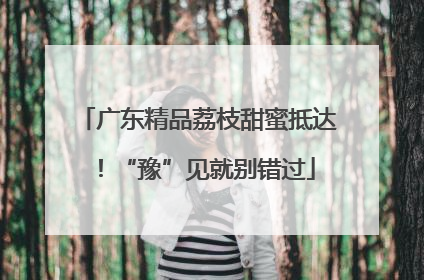 广东精品荔枝甜蜜抵达！“豫”见就别错过