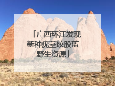广西环江发现新种疣茎绞股蓝野生资源