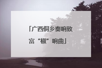 广西侗乡奏响致富“椒”响曲