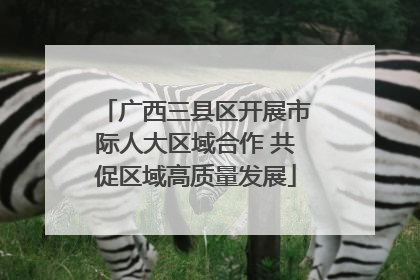 广西三县区开展市际人大区域合作 共促区域高质量发展