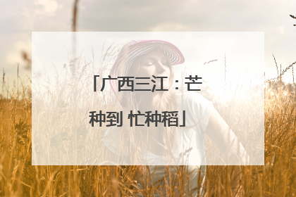 广西三江：芒种到 忙种稻