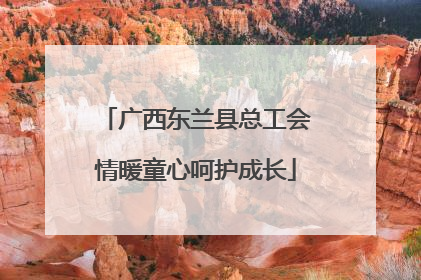 广西东兰县总工会情暖童心呵护成长
