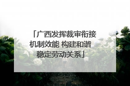 广西发挥裁审衔接机制效能 构建和谐稳定劳动关系