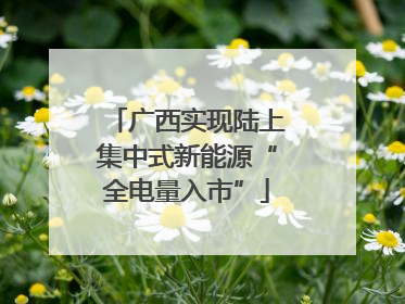 广西实现陆上集中式新能源“全电量入市”