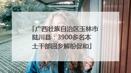 广西壮族自治区玉林市陆川县：3900多名本土干部回乡解纷促和
