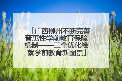 广西柳州不断完善普惠性学前教育保障机制——三个优化绘就学前教育新图景