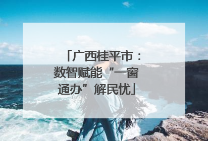 广西桂平市：数智赋能“一窗通办”解民忧